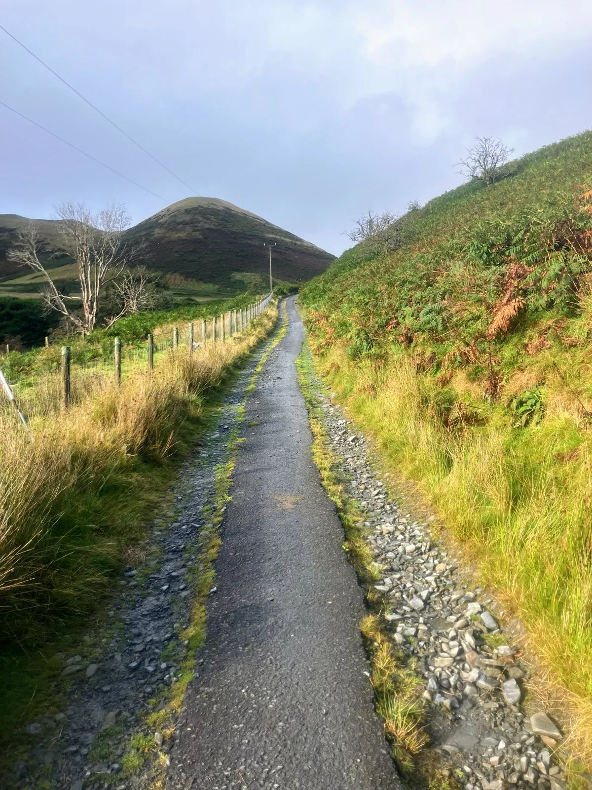 The climb out of the Cymystwyth valley - the ‘Mohican Road’