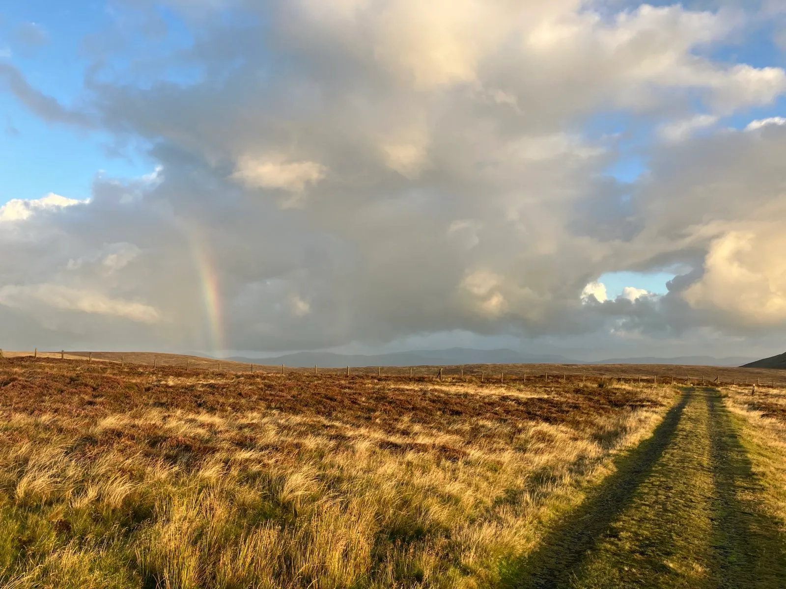Enjoying the early morning sunshine Day3. Rain clouds to the north. 