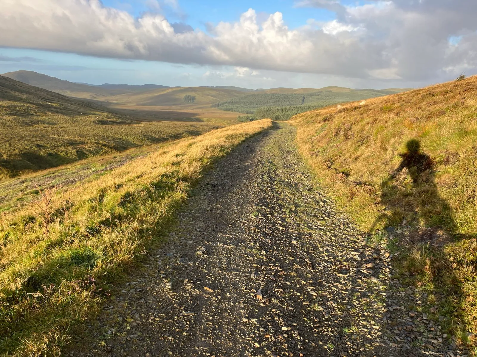 Descending towards Nant y Moch reservoir