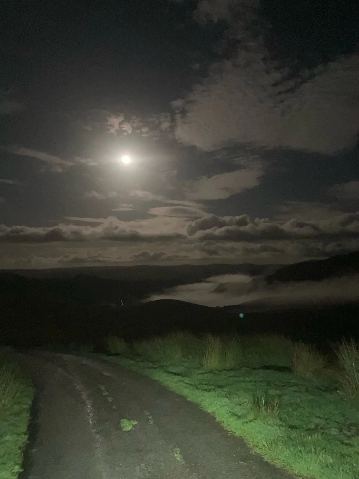 Moonshine after the storm (and before the cow)