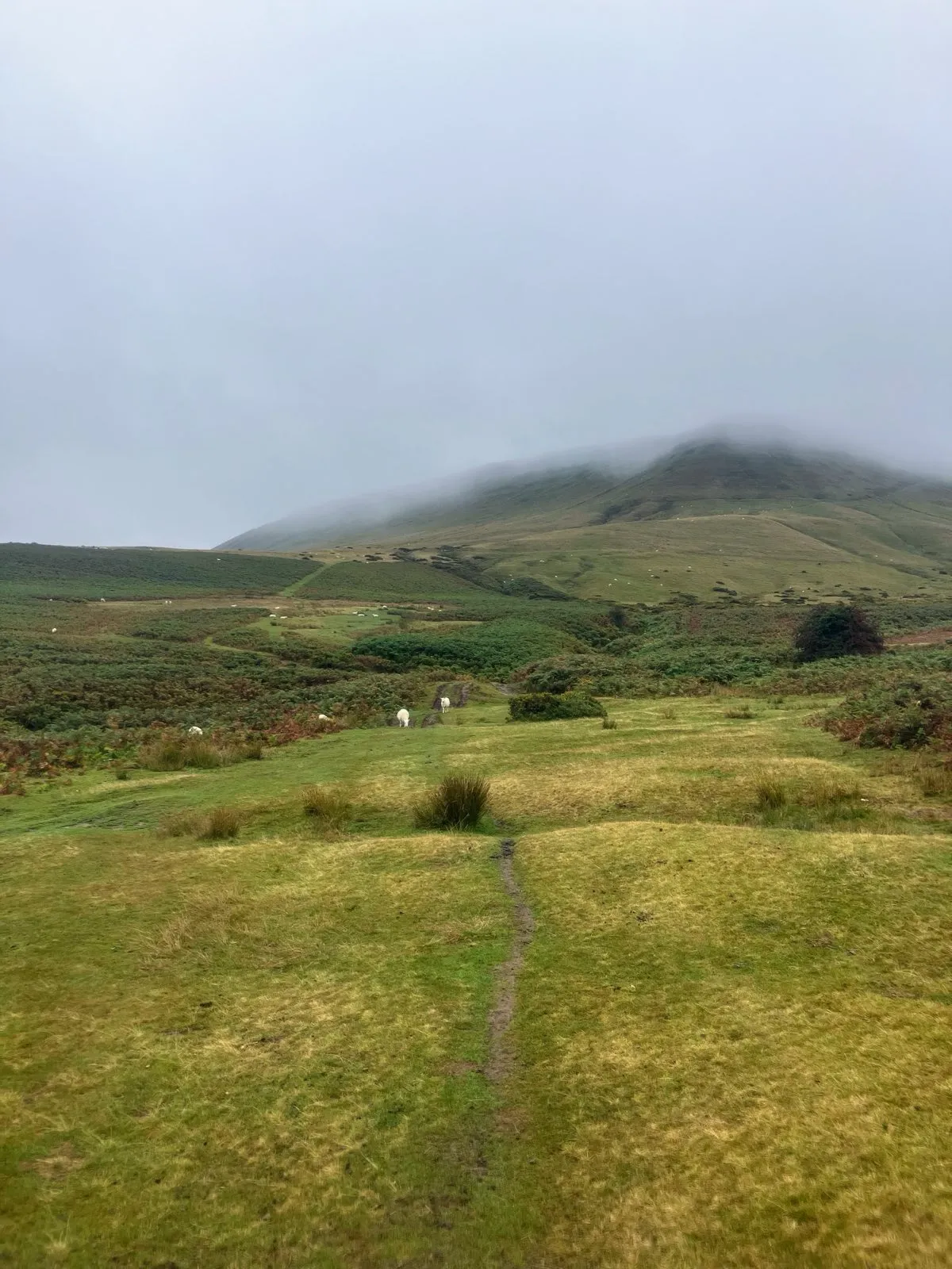 Hay Bluff beckoned, after leaving the Gospel Pass road 