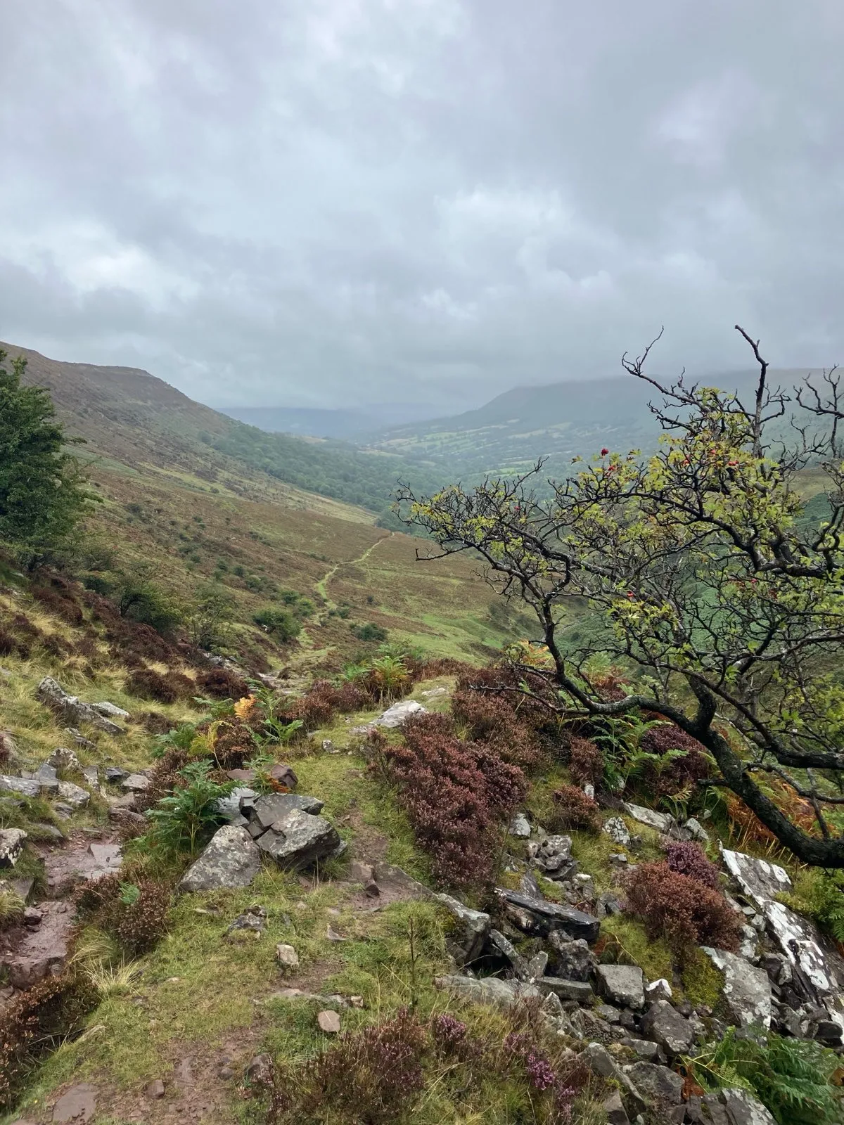 Some of the rock garden descent!